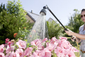 Gießstäbe/Gießbrausen